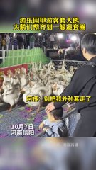 大鵝低頭躲避被套圈帶走。Geese ducked to avoid being taken away in the ring.