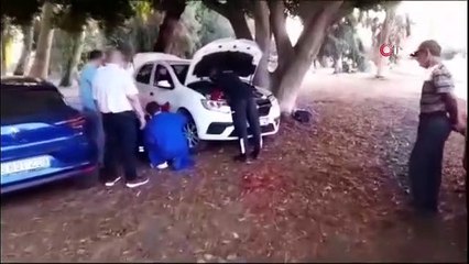 Le chaton qui est monté dans la voiture a pu être retiré en 3 heures