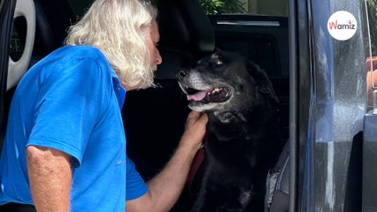 Depuis 10 ans, cette chienne attend d’être adoptée : un beau jour, son destin bascule