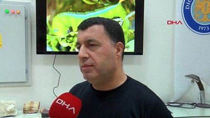 Zehirle beslenen, askeri kamuflajlı uçan ajan Türkiye'de görüldü