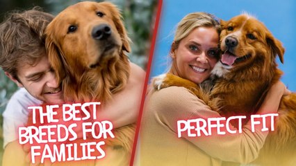The Best Breeds for Families: Finding the Perfect Fit