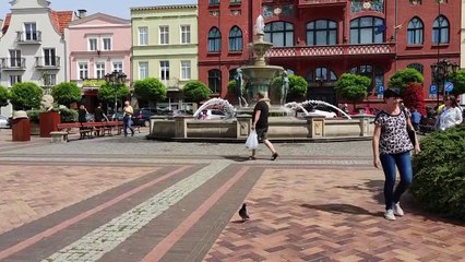 Chojnice. Szkolna afera z "Zieloną Granicą"