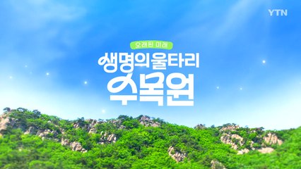 [YTN 특집] 오래된 미래, 생명의 울타리 수목원 / YTN