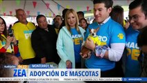 Nuevo León destinará 50 mdp para fomentar la adopción de mascotas