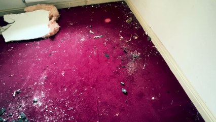 Ice crashes through roof