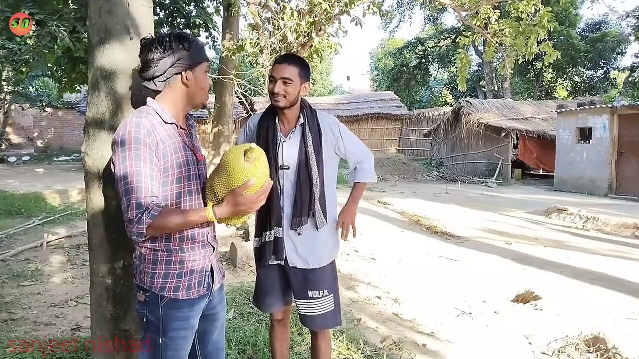 भौजी लिहीन बड़का कटहल__muttan Dada comedy sanjeet nishad