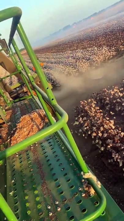 Un avion volant à basse altitude effleure des machines agricoles