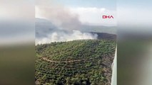 İzmir'in Bayındır ilçesinde ormanda yangın çıktı