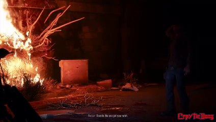 The visuals are awesome I love this game | Days Gone