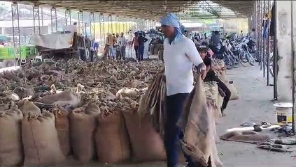 मंडी में गुंडों का आतंक, हफ्ता मांगने पर व्यापारियों ने की हड़ताल, नहीं लगाई बोली