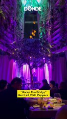 Así fue el concierto de Ximena Sariñana en Ling Ling