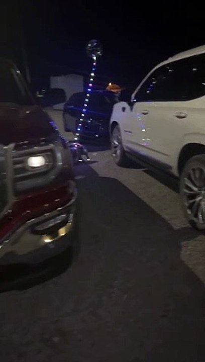 Une balise bouledogue