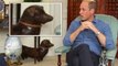 BBC reporter mocks Prince William’s ’weird little dog ornament’ in Kensington Palace home