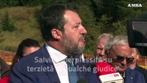 Apostolico, Salvini: 