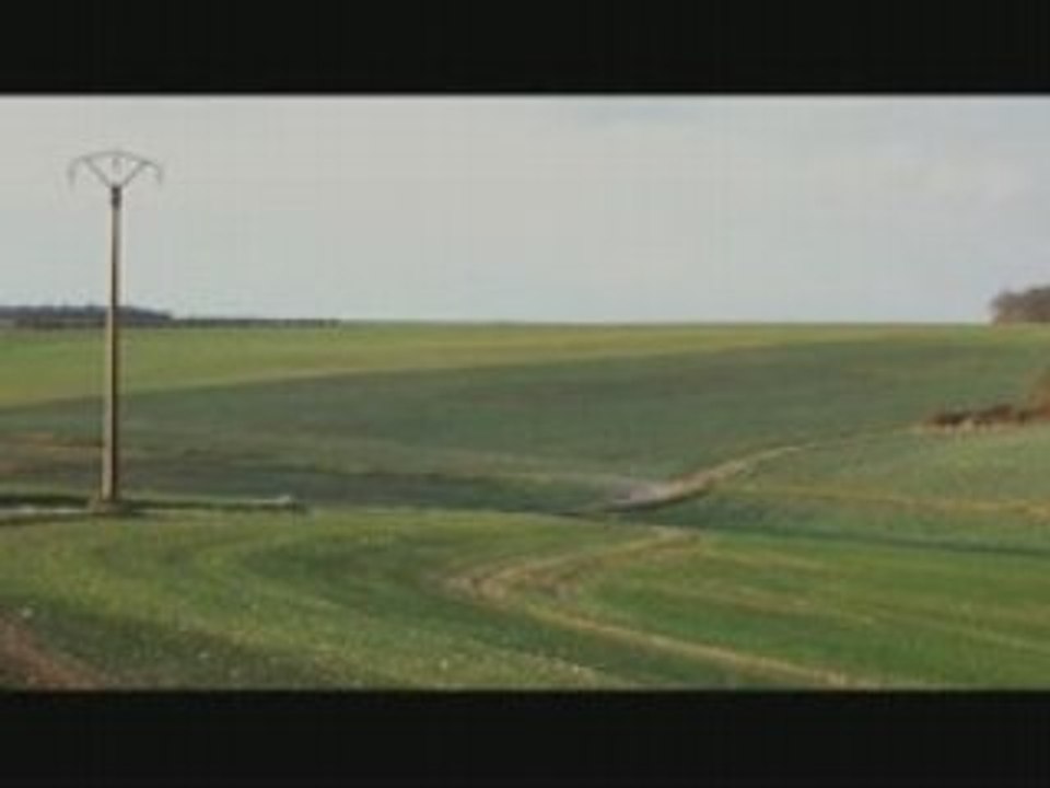 Las confesiones del doctor sachs (1999)