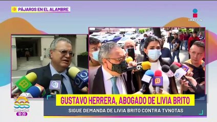 Livia Brito sigue demanda contra TV Notas: Aunque no le ha pagado al fotógrafo que agredió