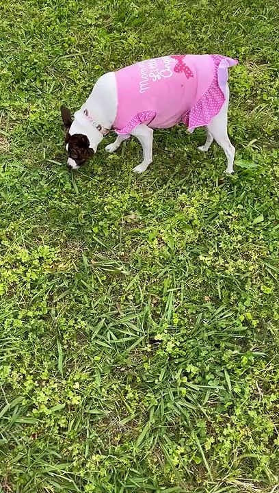 Princess squirms on a worm