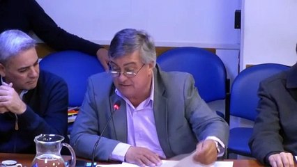 La Comisión de Defensa nacional avaló varias iniciativas de declaración y resolución