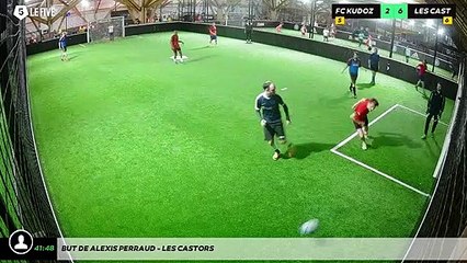 But de Alexis PERRAUD - LES CASTORS