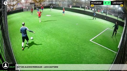 But de Alexis PERRAUD - LES CASTORS