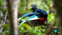 Costa Rica, el arca de la Naturaleza