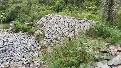 PF deflagra operação para coibir extração de minério em terra indígena