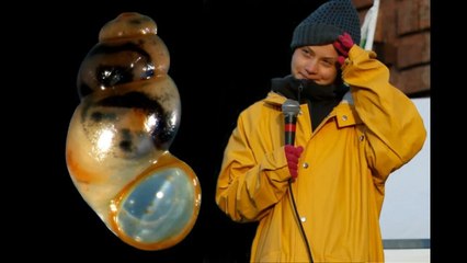 Schleimige Ehre: Forscher der Universität Greifswald haben eine neue Schneckenart nach der Klimaakti