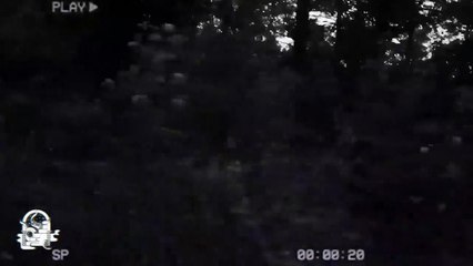 RECOPILACIÓN DE HISTORIAS DE BRUJERÍA