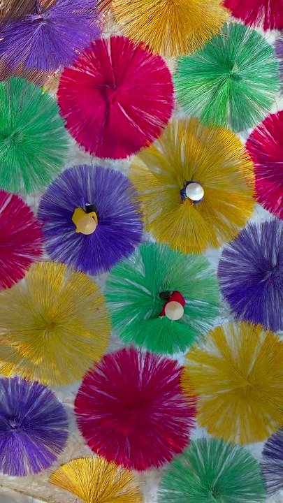 La Magie des Couleurs : L'Art Traditionnel de Teindre et Tisser des Herbes Sèches à Hoi An, Vietnam