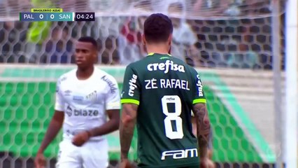 08.10.2023 Palmeiras 1x2 Santos FC - nonato