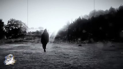 LA FINCA DE LAS MALDICIONES (Historias De Terror)