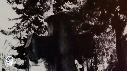 OJOS DEL ABISMO (Relatos De Terror)