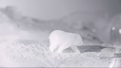 Can't Negotiate the Melting Point of Ice | movie | 2021 | Official Trailer