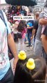 'Pato locura' ya llegó en las calles del Centro de Lima