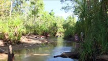 Popular NT hot springs revealed to have been drawing water from sacred site