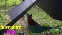 Single camping in the forest. Sleep to the sounds of nature and birdsong ASMR. #asmr #campinglife