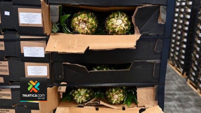 tn7-pase-alvaro-091023