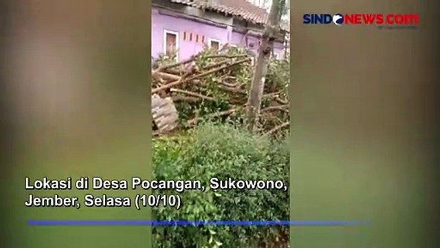 Puluhan Rumah Rusak Diterjang Angin Puting Beliung di Jember