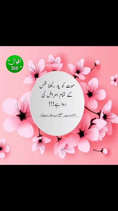 Best quotes