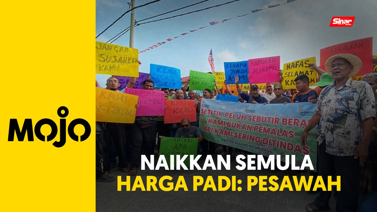 Hampir 100 pesawah turun padang tuntut kenaikan harga padi