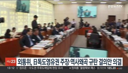 외통위, '日독도영유권 주장·역사왜곡 규탄' 결의안 의결