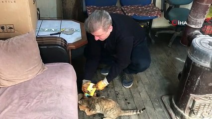 Taksi Durağının Maskotu 'Pilli' Mama İstedi