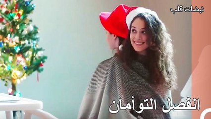 سندخل السنة الجديدة ونحن ننظر لبعضنا - نبضات قلب الحلقة 26