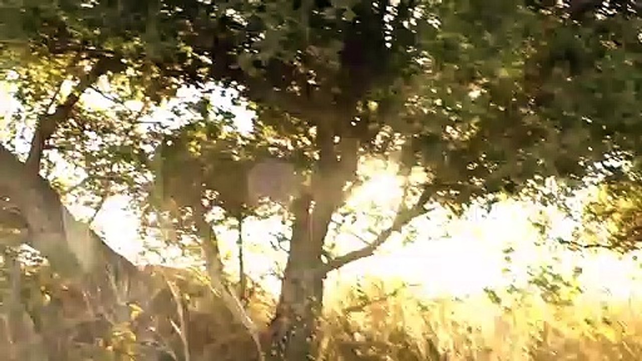 Malibu Horror Story Trailer OV