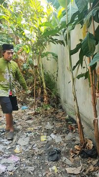 ada Kaki seribu #feedshorts #funny #comedyfilms #shortsfeed #lucu #comedymovies #shortsvideo