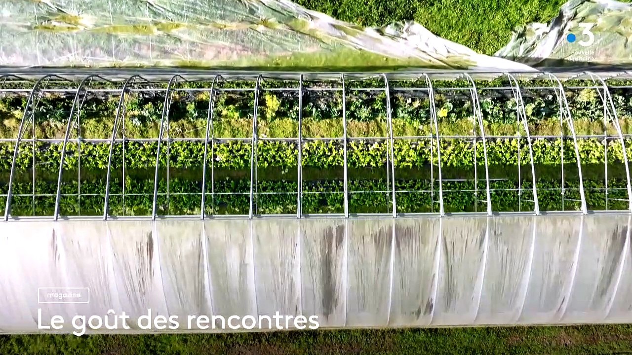 10/10/2023 - Le 6/9 de France Bleu Poitou en vidéo