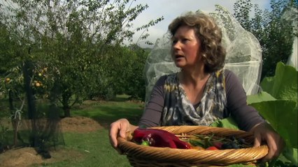 Amazing Quest - Stories from New Zealand - Somewhere on Earth