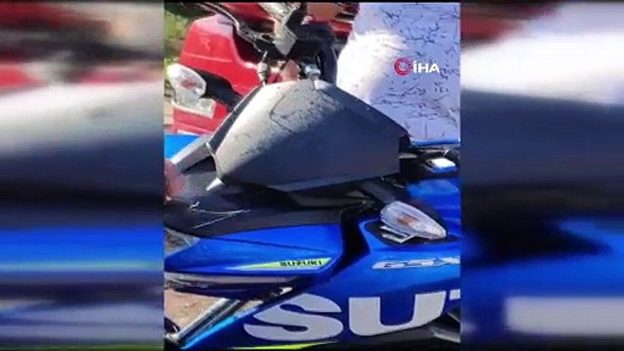 Direksiyondan yılan çıktı: Sürücü şoka uğradı