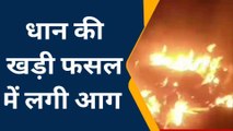 कन्नौज: धान की फसल में लगी भीषण आग, मचा हडकंप