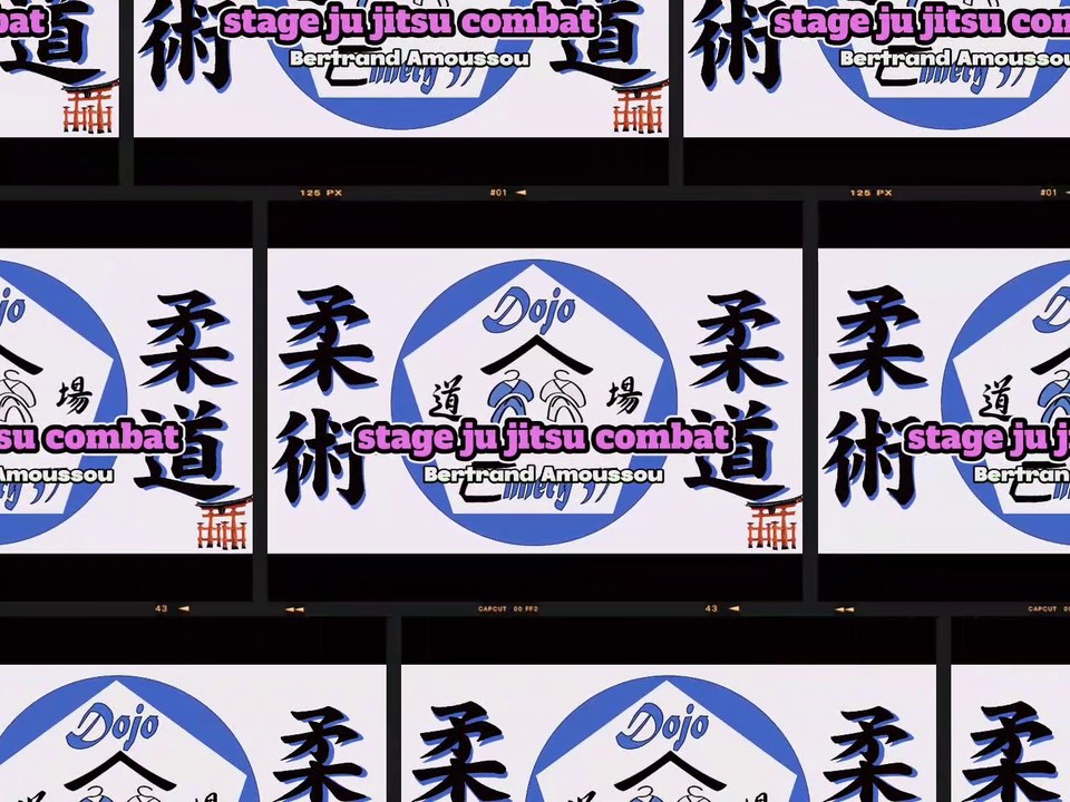 stage ju jitsu 1er partie Bertrand Amoussou
